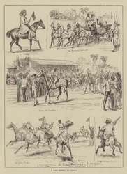 A Race Meeting in Jamaica